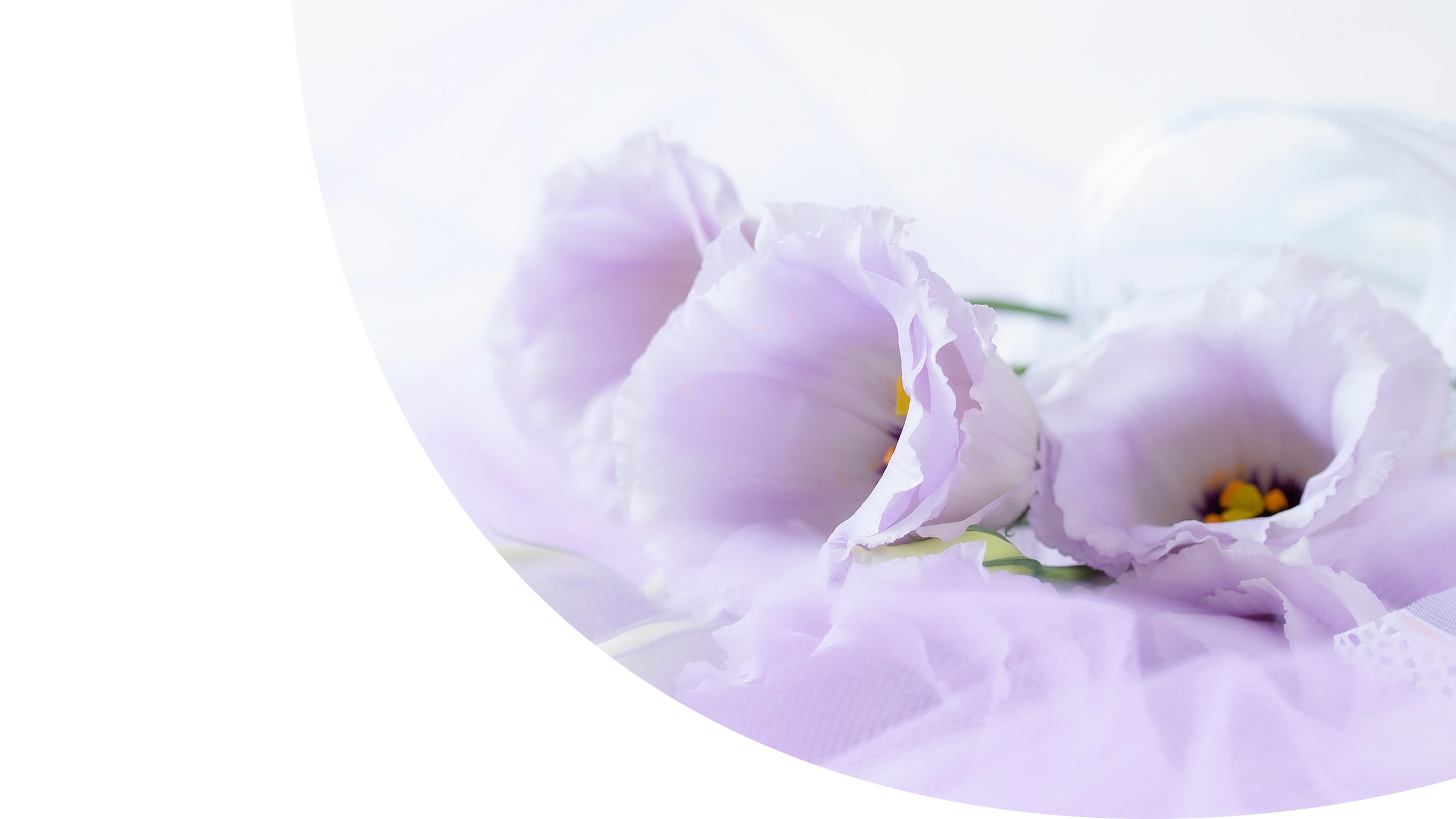 家族葬ならまごのて屋|総合葬祭|熊谷市・深谷市