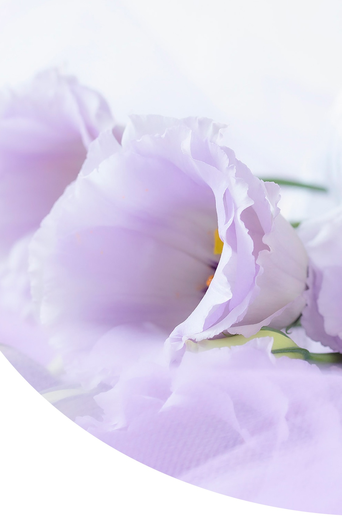 家族葬ならまごのて屋|総合葬祭|熊谷市・深谷市